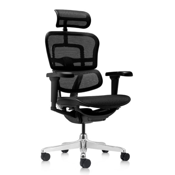 Side profile of the Ergohuman Xpert ELITE black mesh chair showing the dynamic bionic lumbar support and synchronized recline curve.