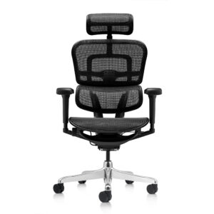 Ergohuman Xpert ELITE – Premium Mesh Ergonomic Chair with Adjustable Features (Black)