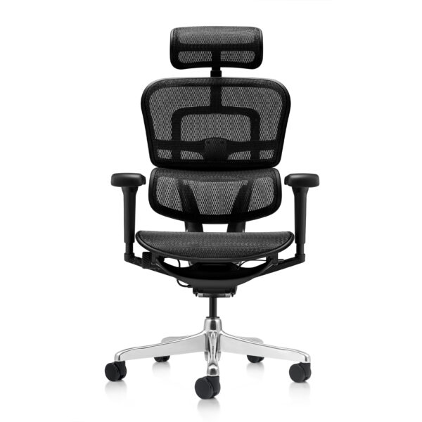 Ergohuman Xpert ELITE 2.0 premium mesh ergonomic office chair in black, featuring a full-body posture support design for professional workspaces.